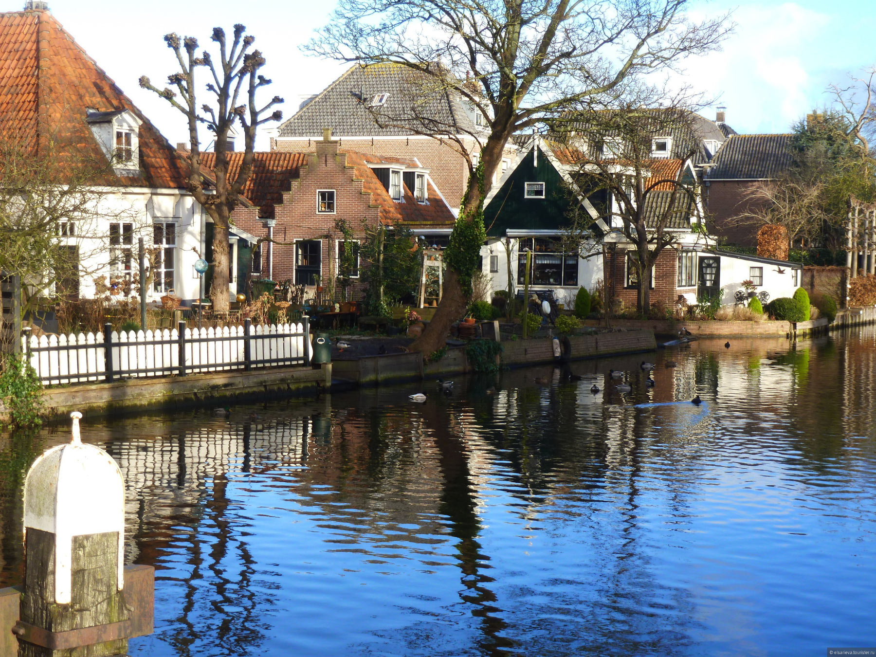 Edam